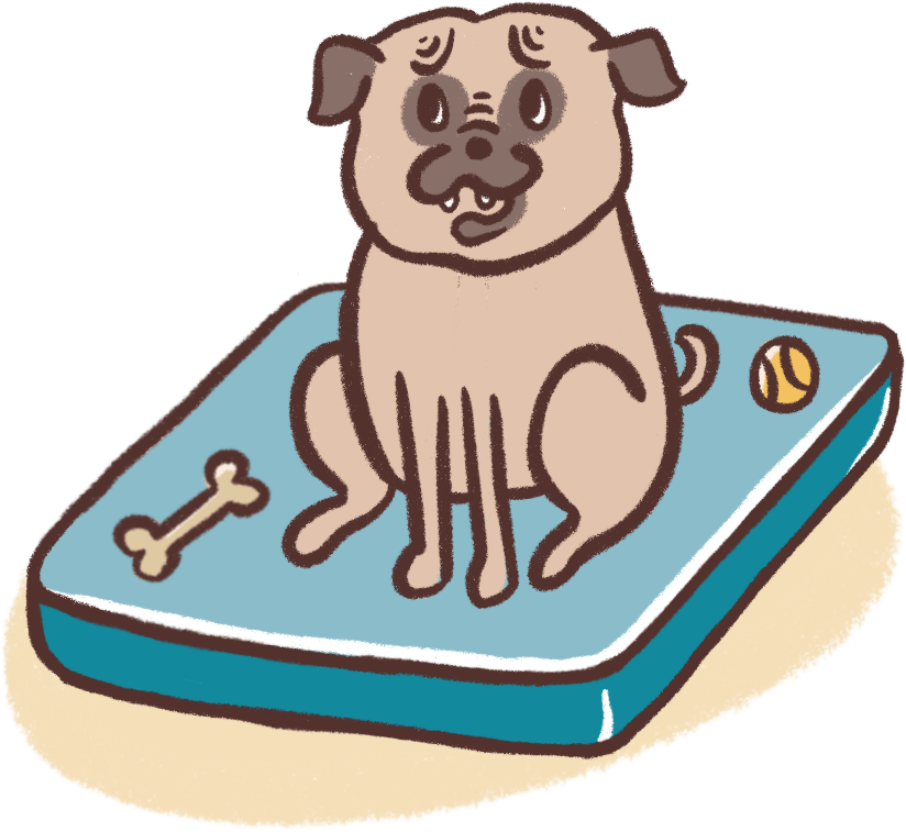 illustration of a dog sitting on a bed with a bone and a ball