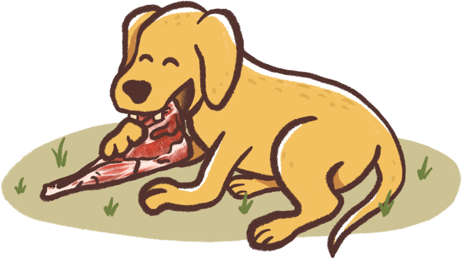 illustration of a dog chewing an appropriate sized bone to build up a positive association with alone time