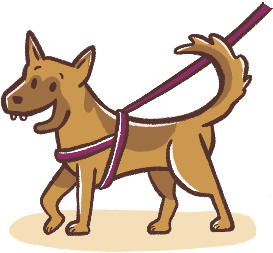 illustration of a dog being walked with a harness