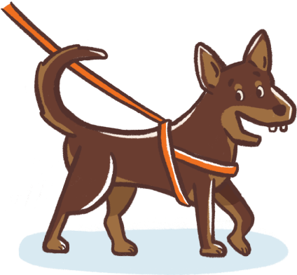 cute illustration of a kelpie dog going for a walk on leash