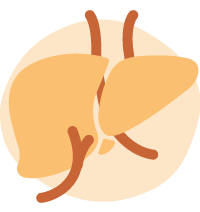 organ function icon