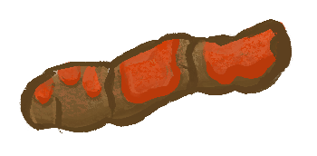 Red blood visible in stool requires veterinary attention