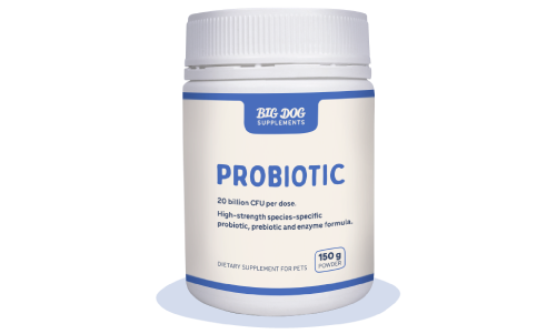 Natural Probiotics for Pets