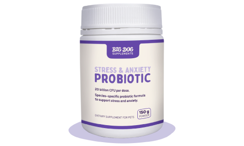 Stress & Anxiety Probiotic