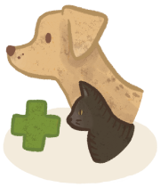 Seek support from your vet