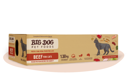 Beef Raw Cat Food