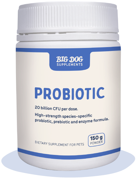 Big Dog Everyday Natural Probiotics for pets