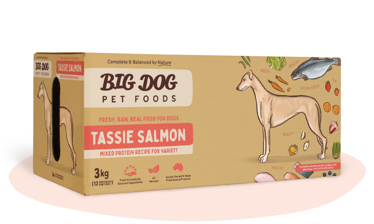 Tasmanian Salmon Raw Dog Food