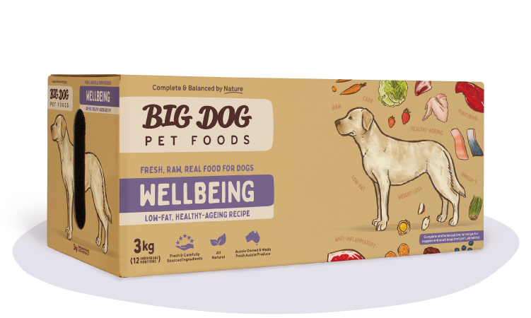 Wellbeing Raw Diet
