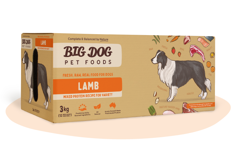 Lamb Raw Dog Food