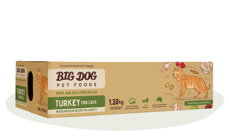 Turkey Raw Cat Food