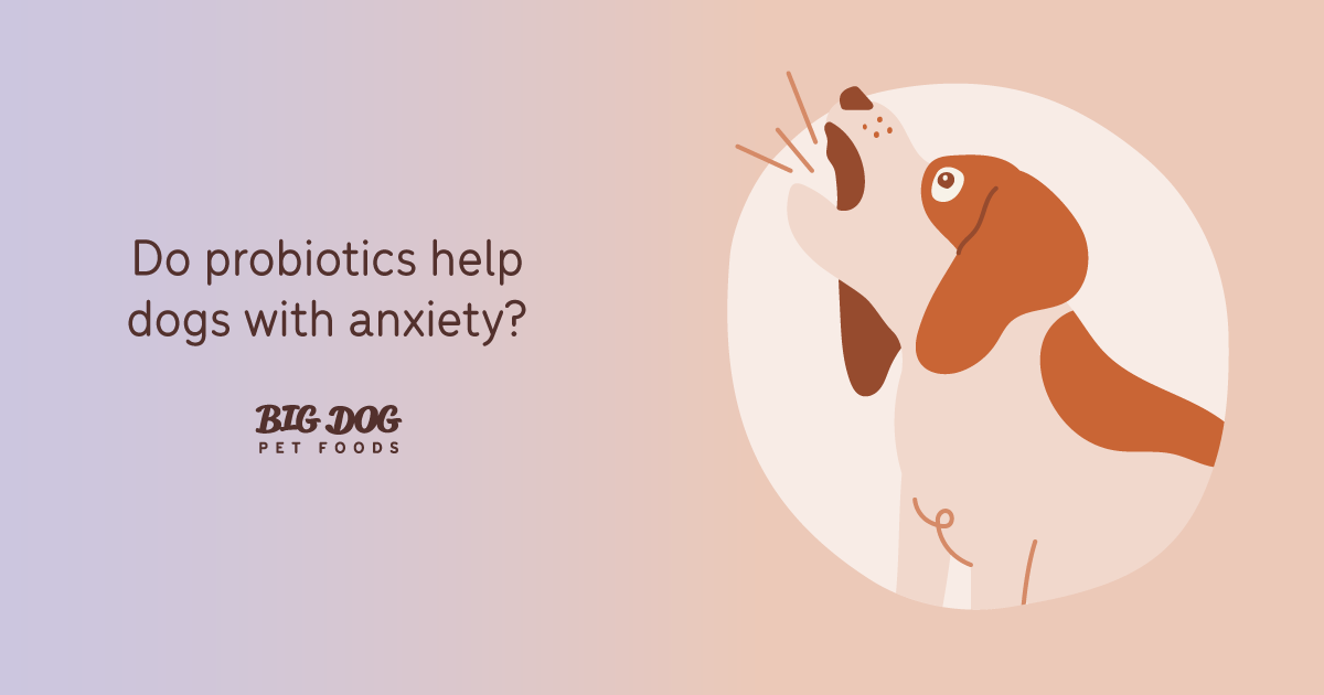 Curated visual reference: Fresh Look at Do Probiotics Help Dogs With Anxiety Guides
