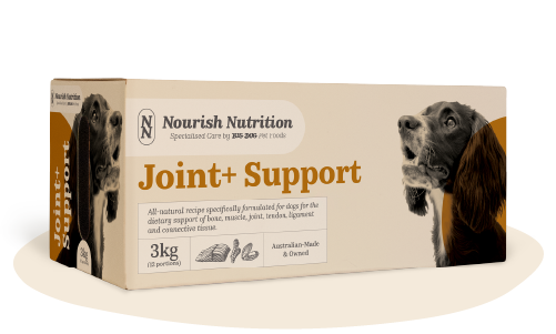 Joint+ Support