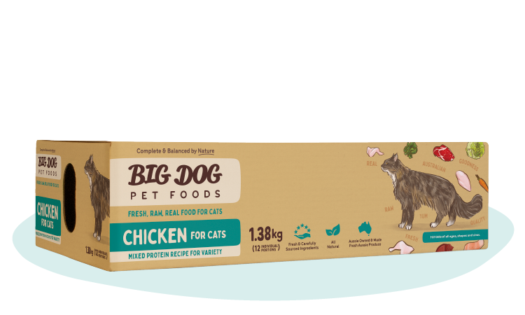 Chicken Raw Cat Food