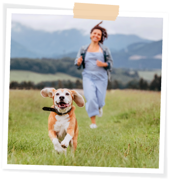 woman running with beagle dog