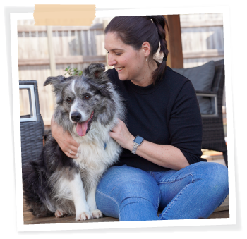 cuddling border collie dog