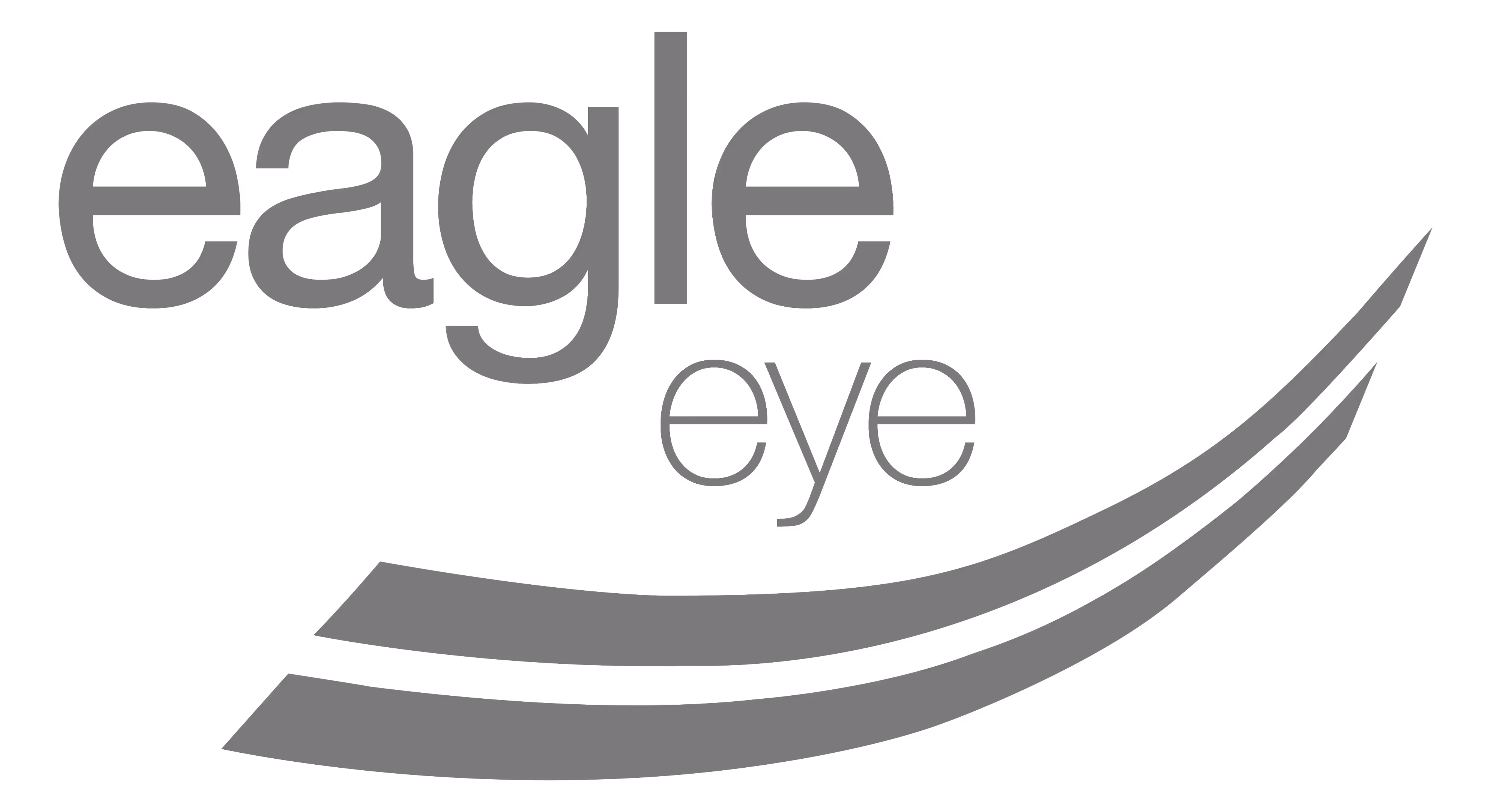 Logo with the words 'eagle' in large letters and 'eye' in smaller letters above two curved lines.
