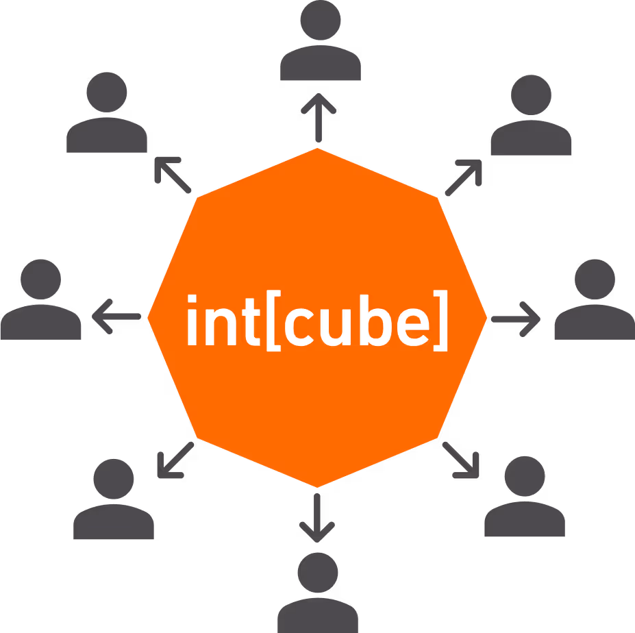 Grafik: intcube im Zentrum mit vernetzten Personen rundherum