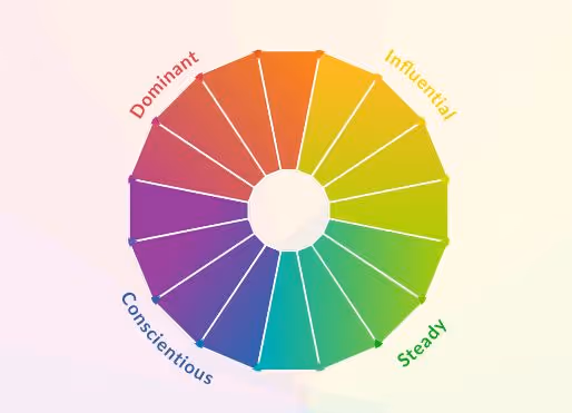 DISC profile description
