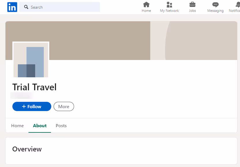 Trial Travel's incomplete LinkedIn company page.