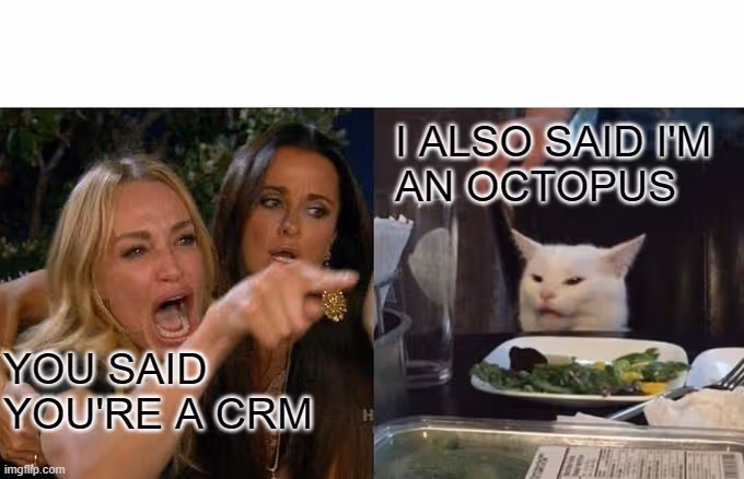 A meme of a lady and a cat mad at each other.