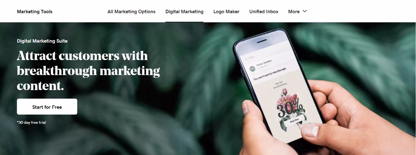 GoDaddy digital marketing page