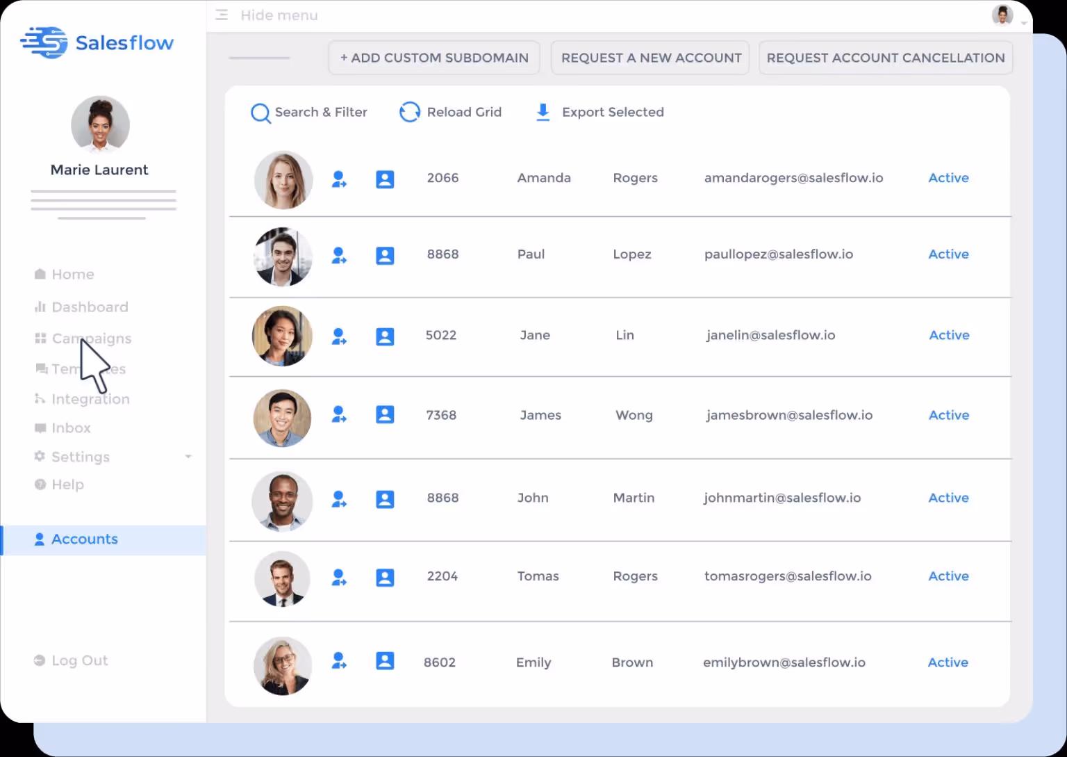 Salesflow's team management feature