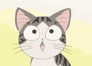 astonished and excited cat gif