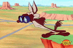 Wile E. Coyote looking through binoculars.