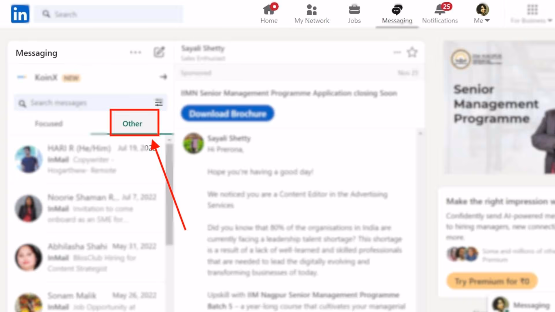 LinkedIn "other" inbox.