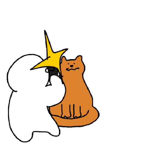 papparazzi clicking picture