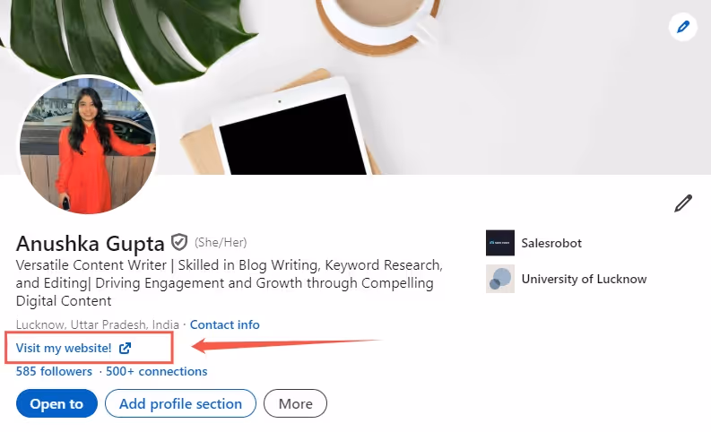 Custom button on personal LinkedIn profile
