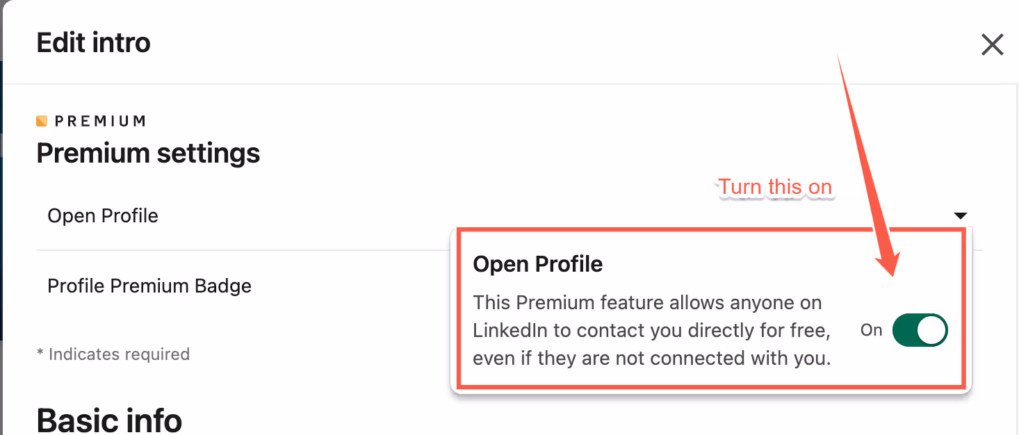 Open profile option in LinkedIn settings