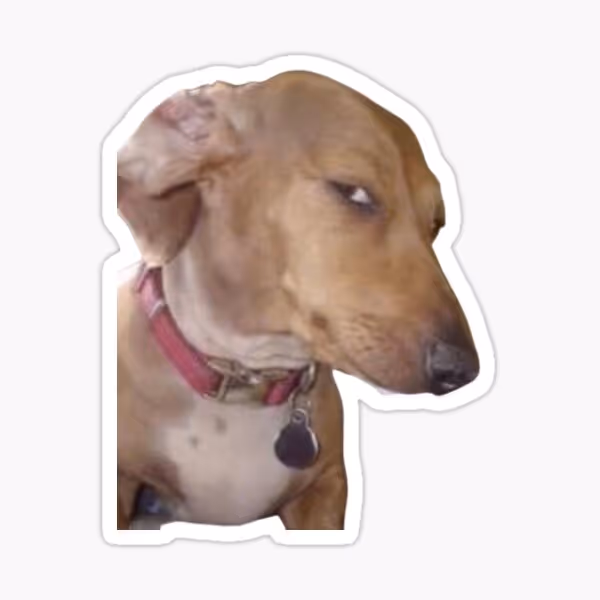 A funny sticker or meme of a dog giving the side eye.