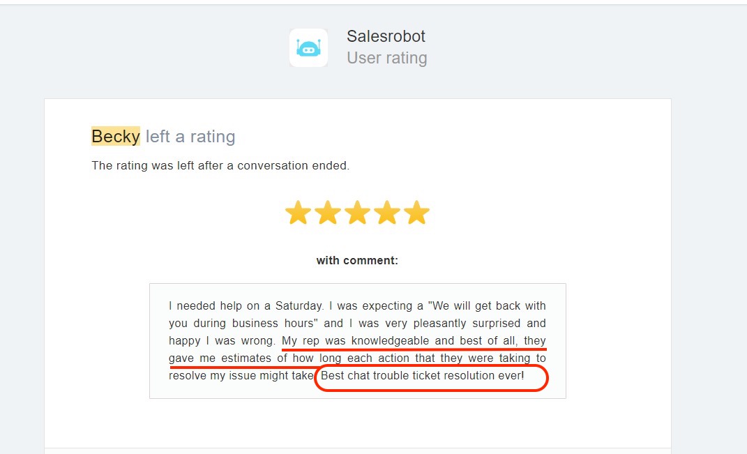 SalesRobot user review