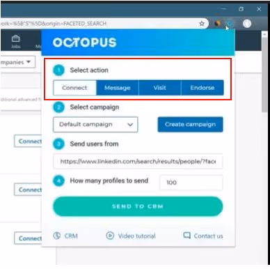 Octopus webpage