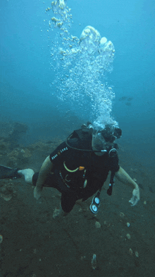 Scuba diving gif