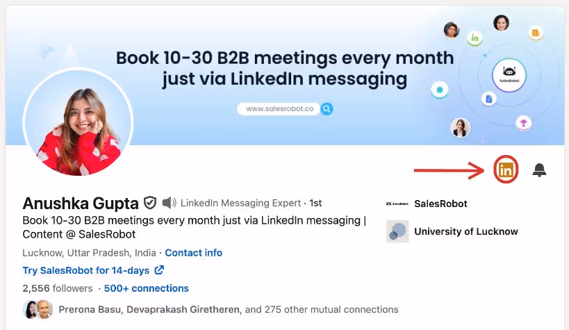 LinkedIn premium profile