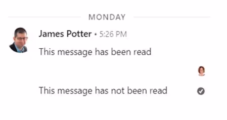 Grey tick in LinkedIn DM.