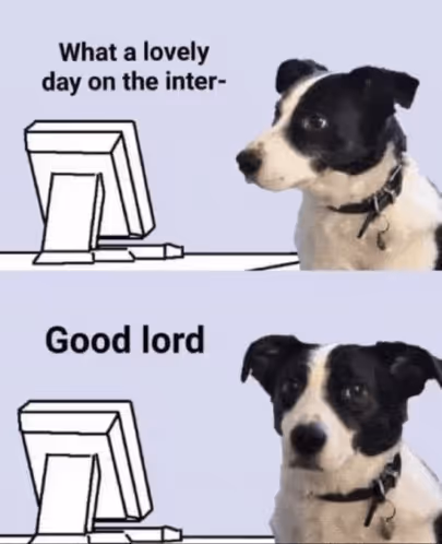 Dog staring on the monitor then surprisingly at you