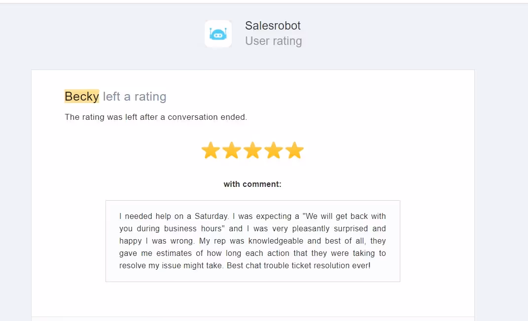 Review highlighting Salesrobot timely customer service