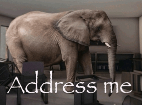 An elephant stands in an office, text on the floor says "Address me."