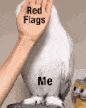 An owl being touched with the text 'Red Flags' and 'Me'