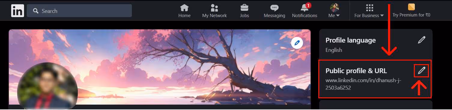 LinkedIn public profile & URL option