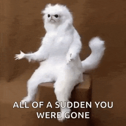 cat is sitting and is surprised