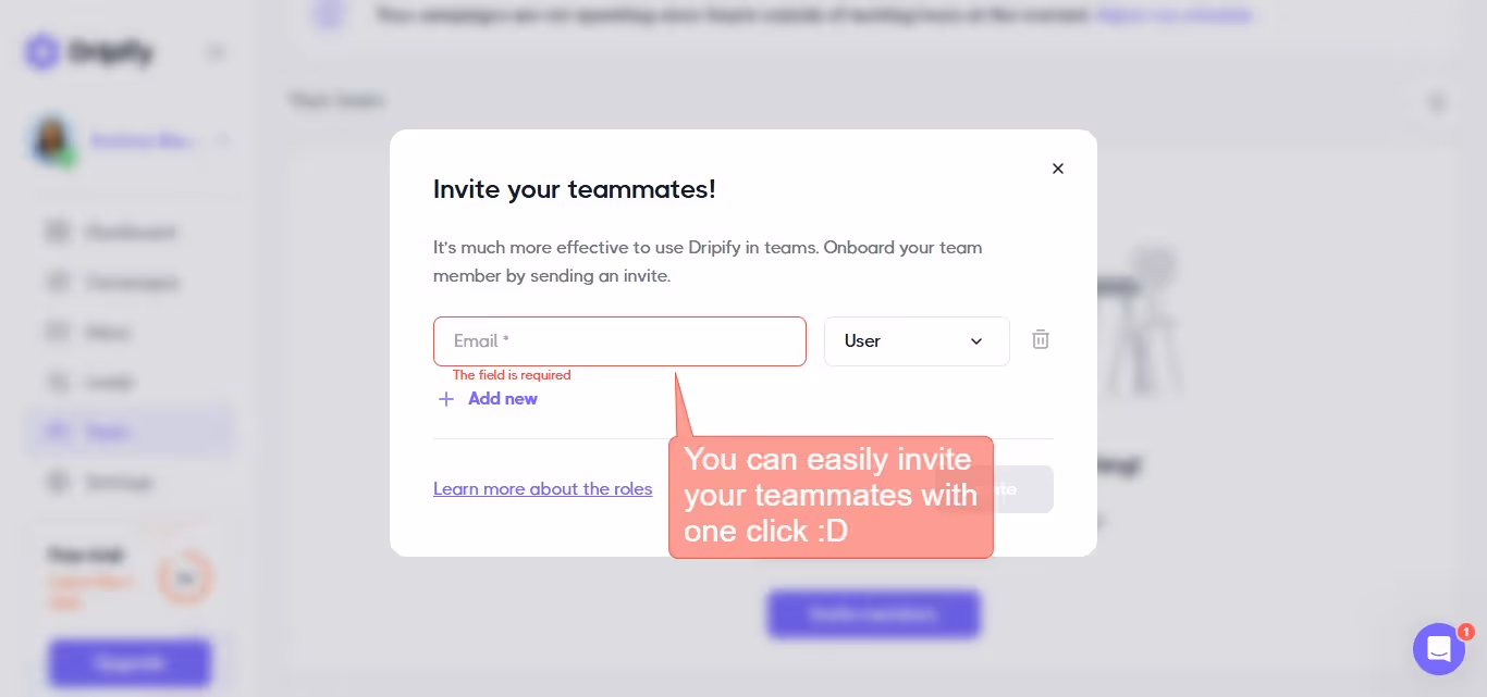 Driifty's invite teammates feature allowing for easy one-click invitations.