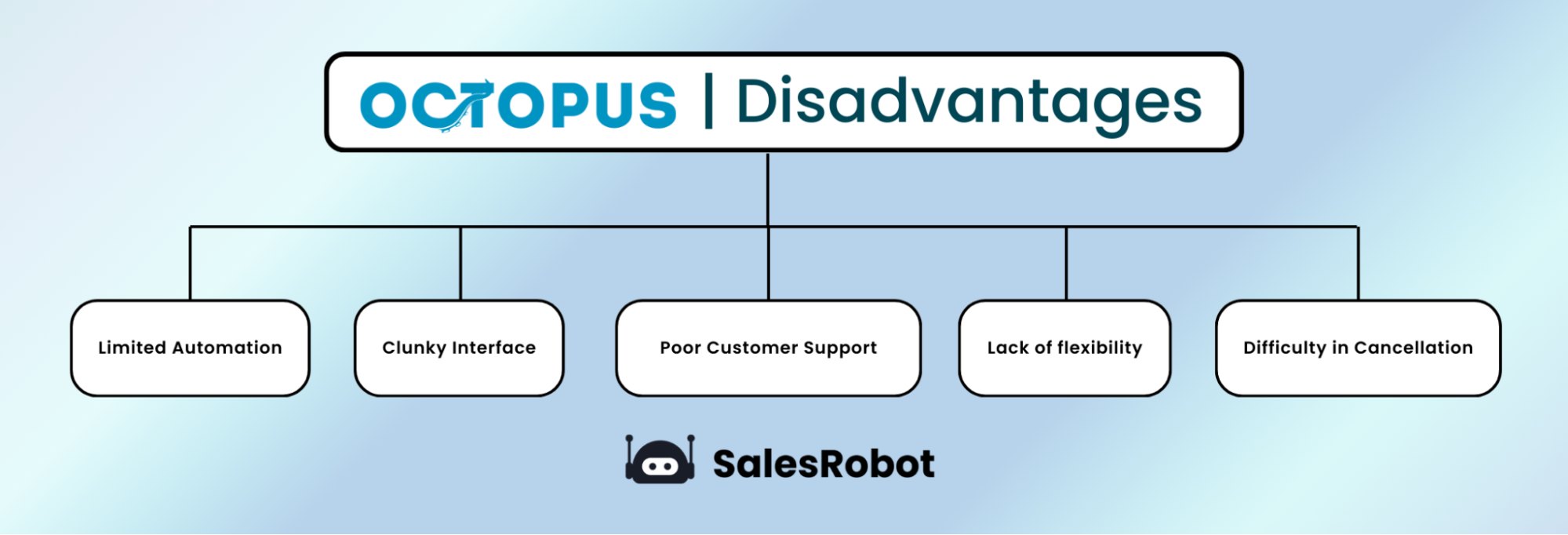 Octopus CRM disadvantages