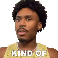 gif of a man saying kind of.