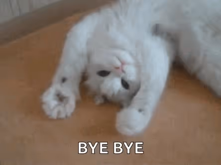 A white cat is lying on its back with its paws in the air and the words "BYE BYE" are written on the screen.