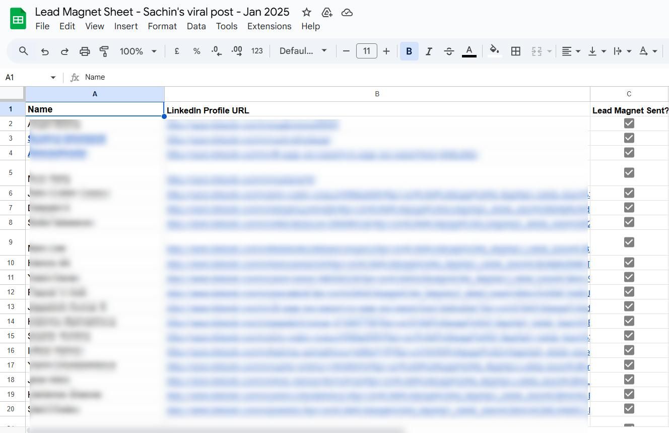 Spreadsheet with blurred-out lead data
